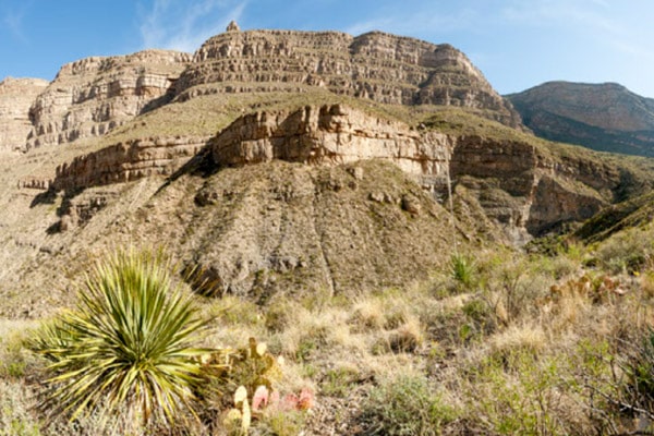 Beautiful Canyon with plants and grass in the foreground at Oliver Lee Memorial State Park 