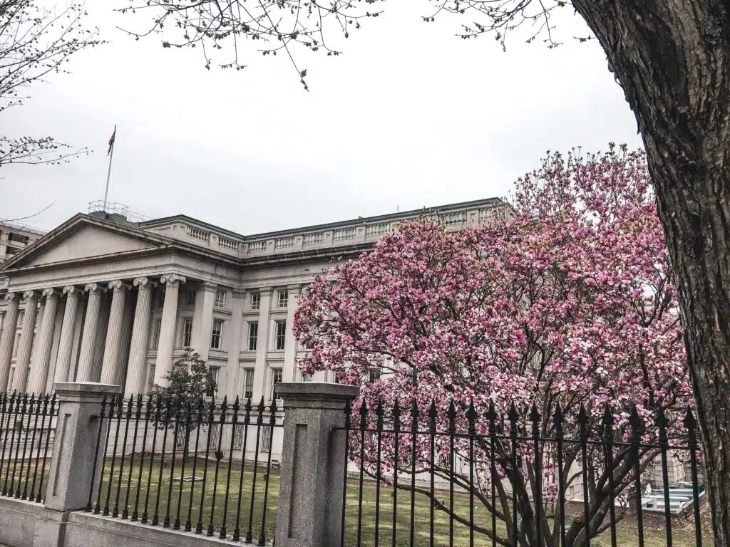 National Treasury in DC with a magnolia tree in front of it