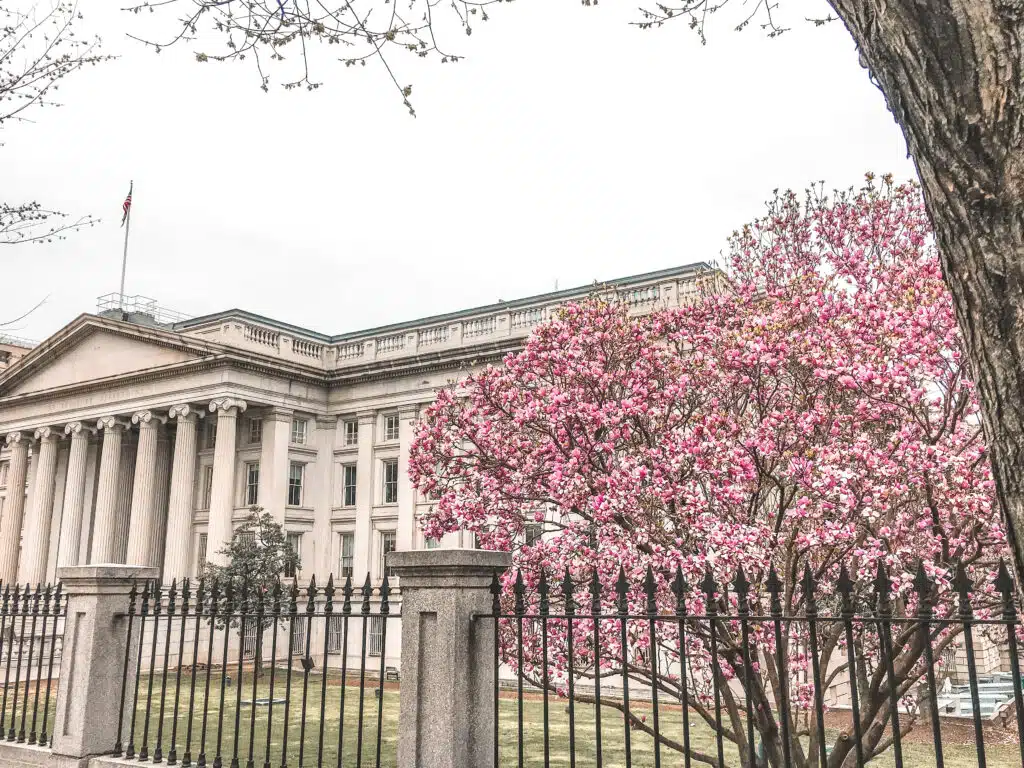 National Treasury of America with beautiful Magnolia Tree in front of it blooming in pink