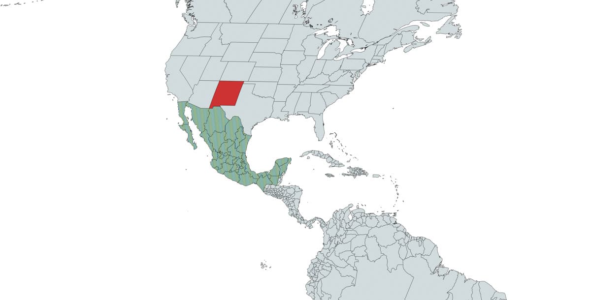map showing the difference between mexico and new mexico