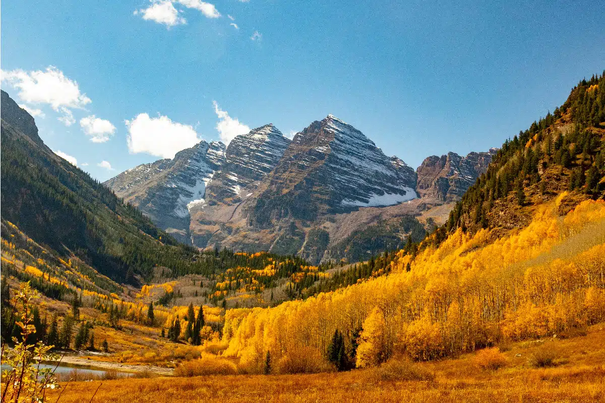 beautiful golden fall foliage in aspen colorado with stunning mountains in the background