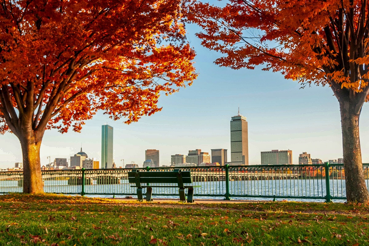 boston skyline with two orange leave trees in front 