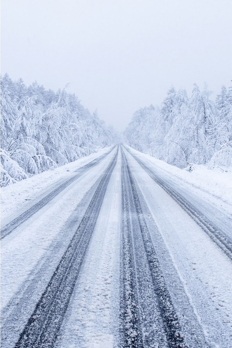 A road stretches into the distance, flanked by snow-covered trees in a New Mexico forest, with tire tracks visible on the snow-dusted road, creating a sense of depth and winter travel.